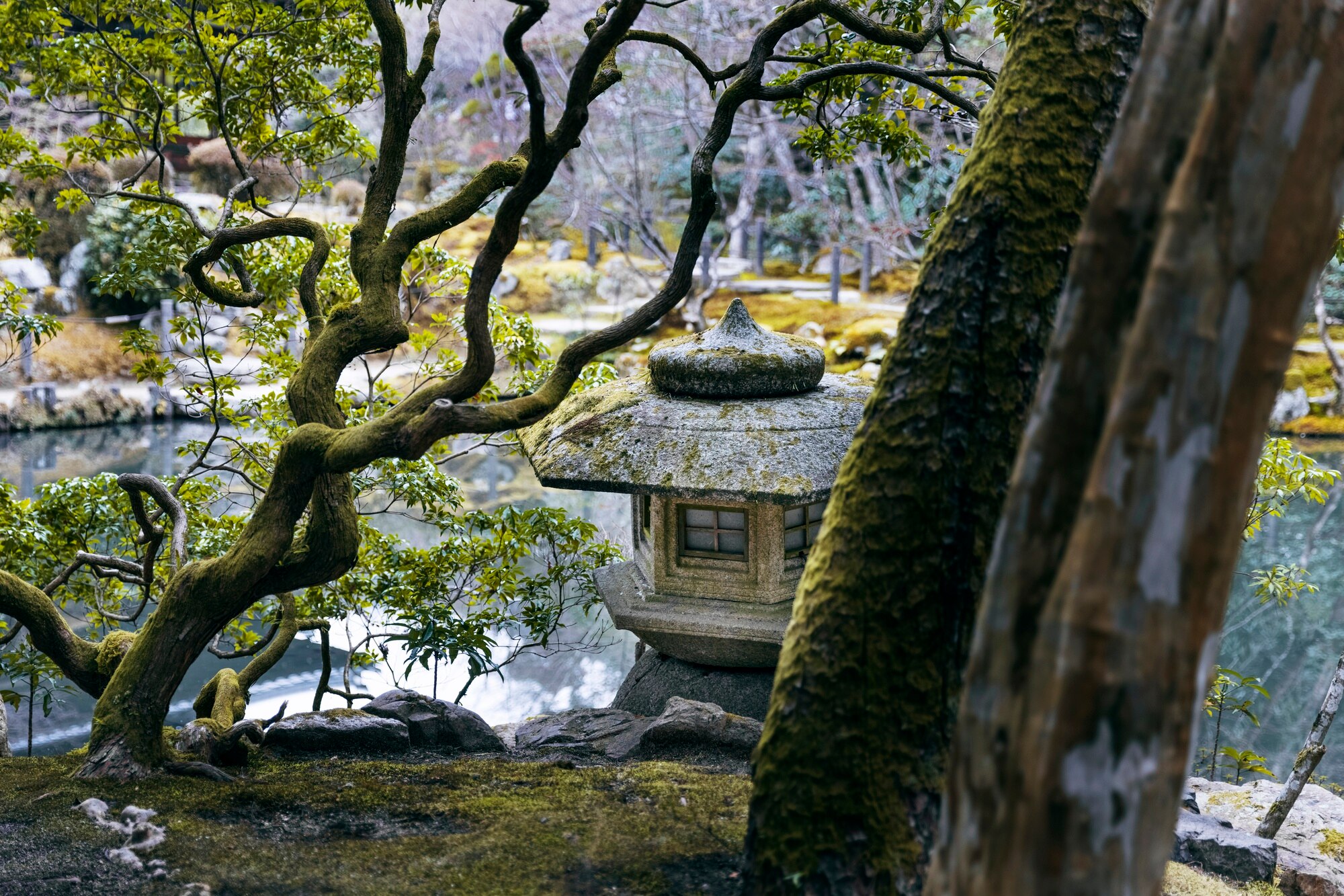 Japán kert zen hangulatban.